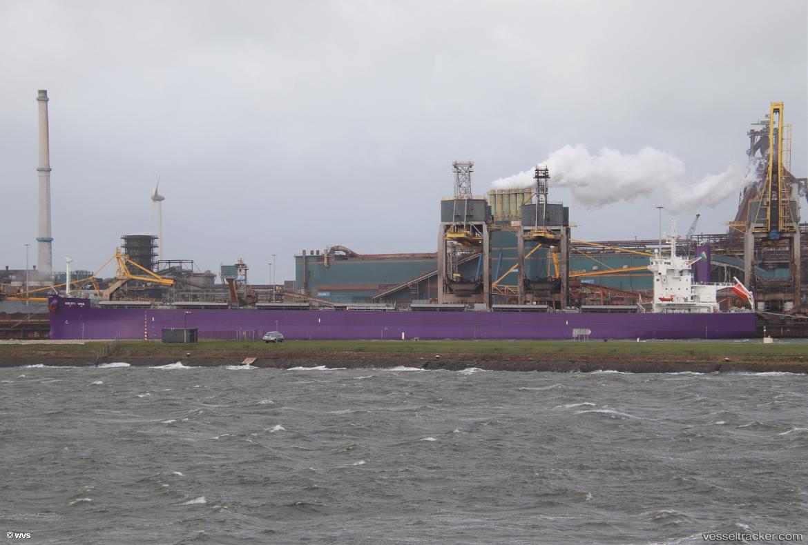 Agility-Diva - Bulk Carrier vessel