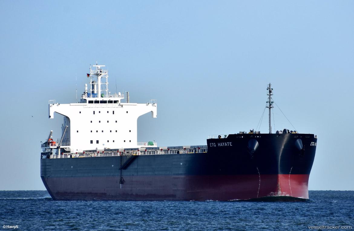 Etg-Hayate - Bulk Carrier vessel