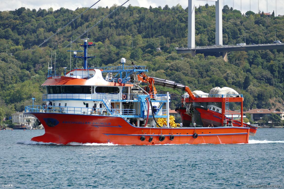 Ariciogullari-Balikc - Fishing Vessel vessel