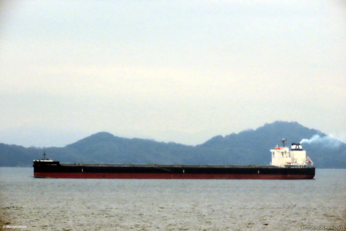 Star-Shibumi - Bulk Carrier vessel