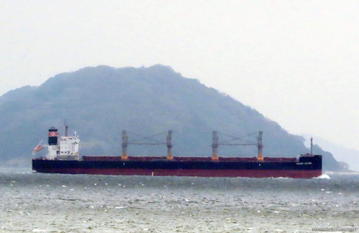 Salvia-Island - Bulk Carrier vessel