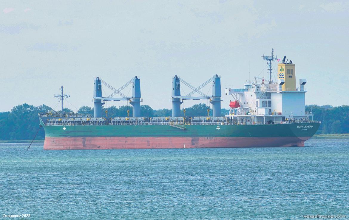 Bufflehead - Bulk Carrier vessel