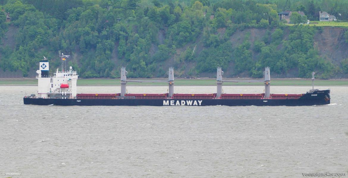 Danae - Bulk Carrier vessel