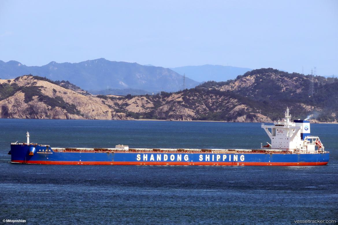 Shandong-Innovation - Bulk Carrier vessel