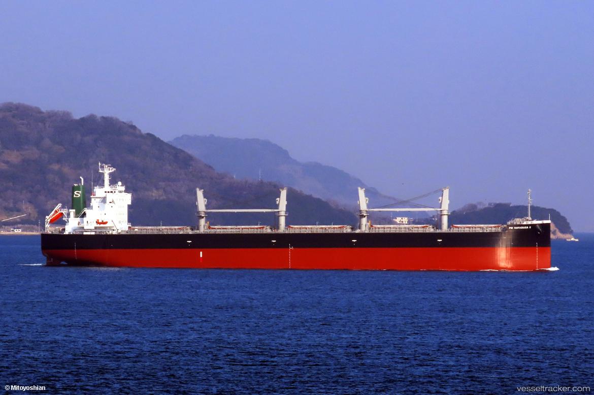 Pm-Hayabusa-Ii - Bulk Carrier vessel