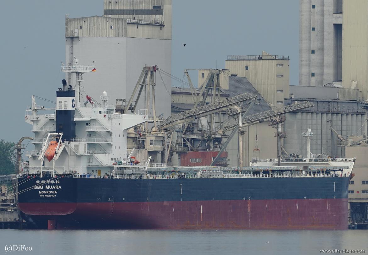 Bbg-Muara - Bulk Carrier vessel