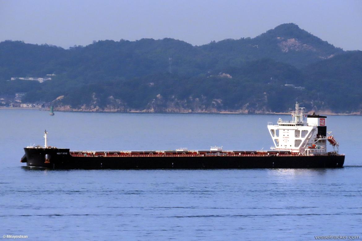 Msxt-Echo - Bulk Carrier vessel