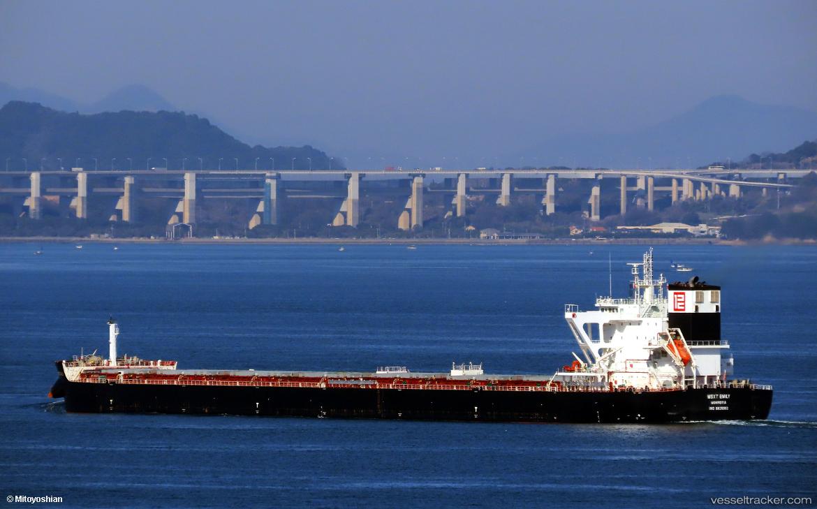 Msxt-Emily - Bulk Carrier vessel