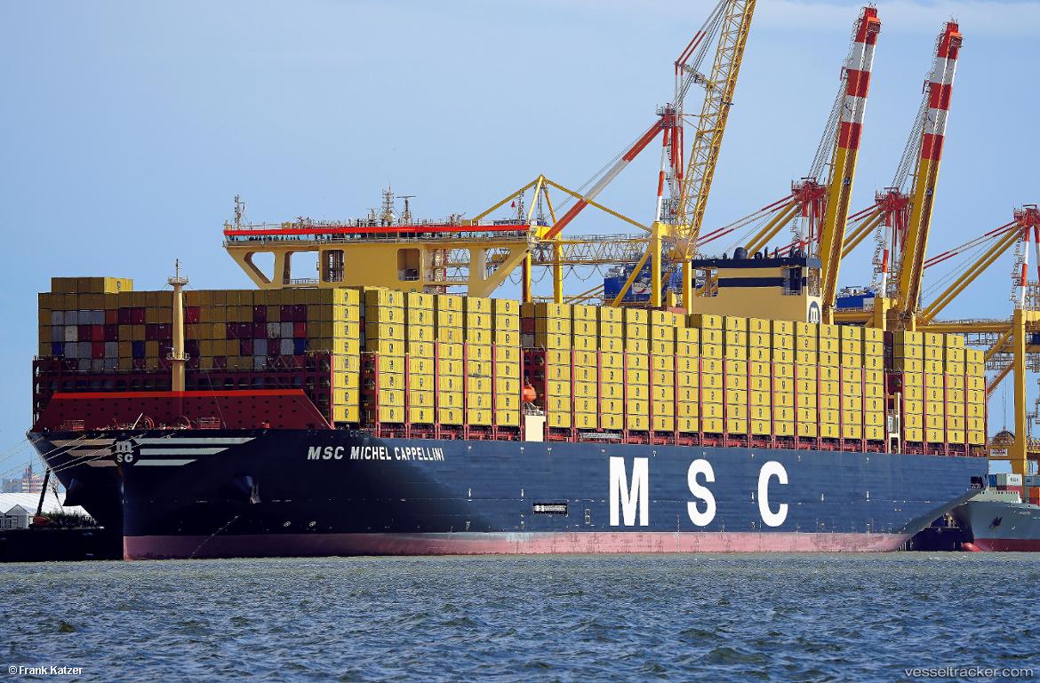 Msc-Michelcappellini