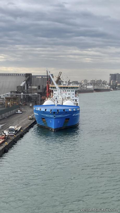 Atlantic-Narval - Asphalt Bitumen Tanker vessel