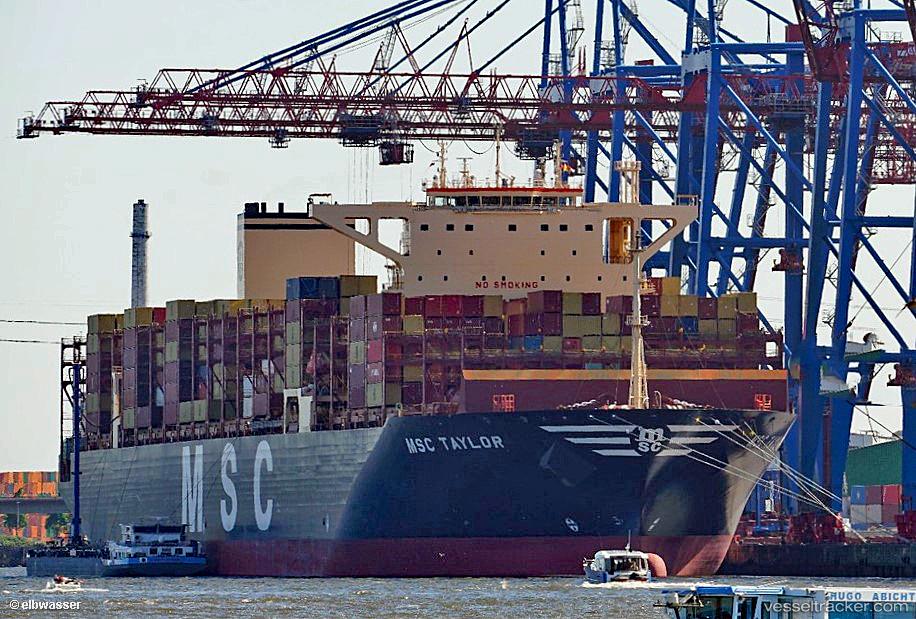 Msc-Taylor - Container Ship vessel