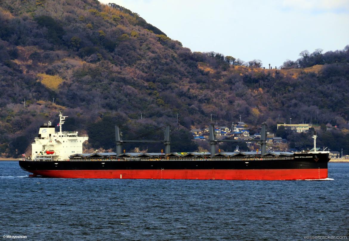New-Intelligence - Bulk Carrier vessel