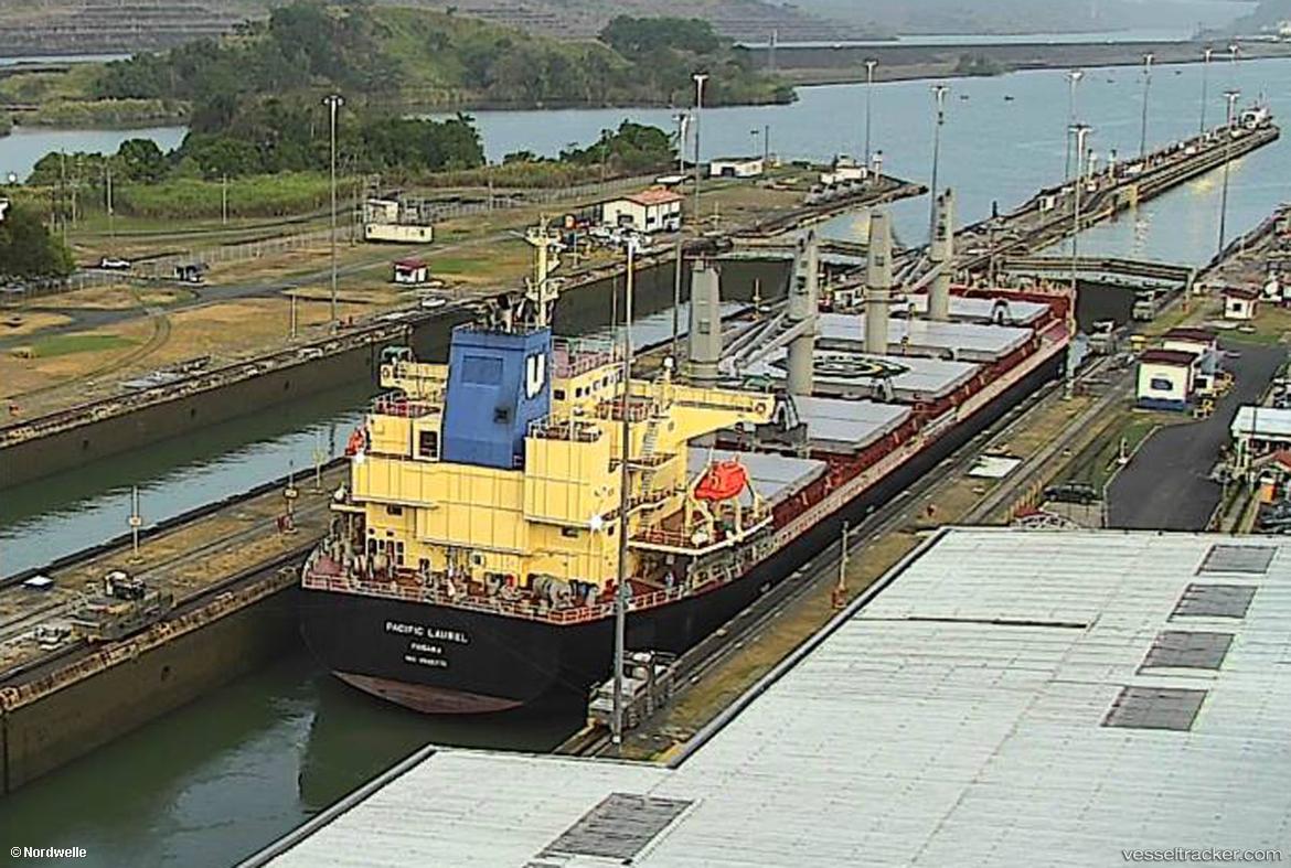 Pacific-Laurel - Bulk Carrier vessel