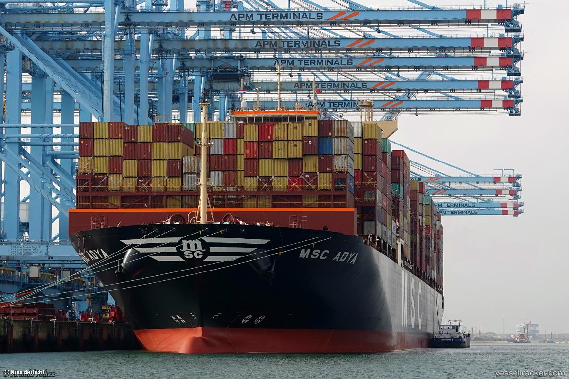 Msc-Adya - Container Ship vessel