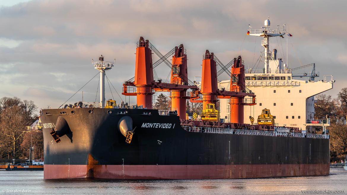 Montevideo-I - Bulk Carrier vessel