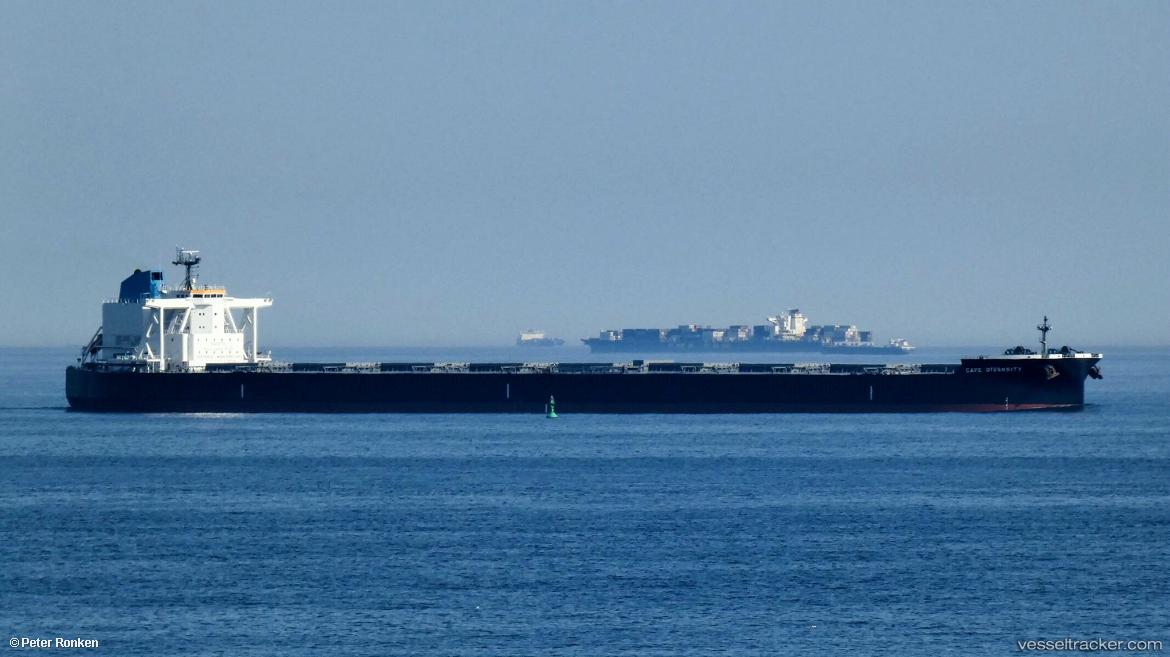 Cape-Diversity - Bulk Carrier vessel