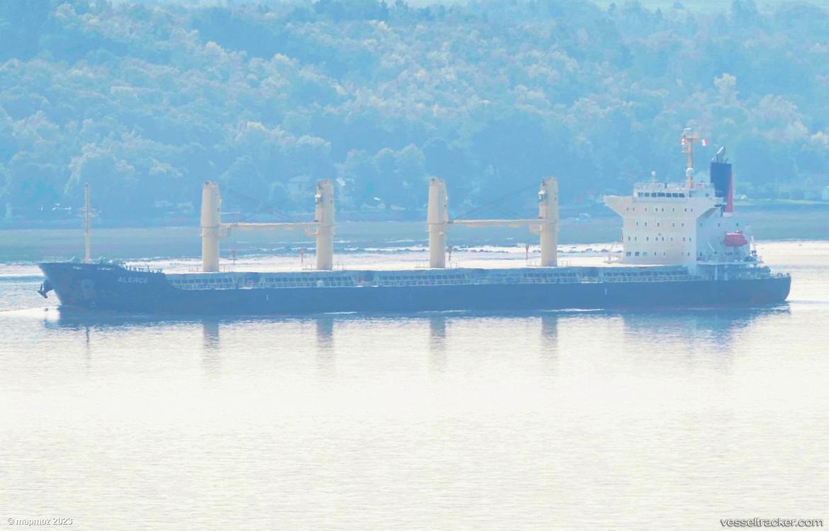 Alerce - Bulk Carrier vessel