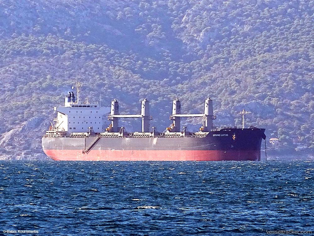 Spring-Lotus - Bulk Carrier vessel