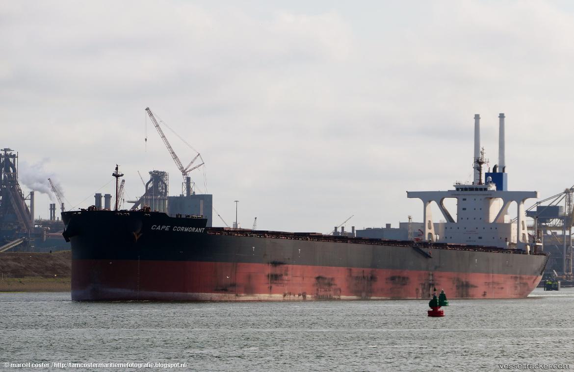Cape-Cormorant - Bulk Carrier vessel