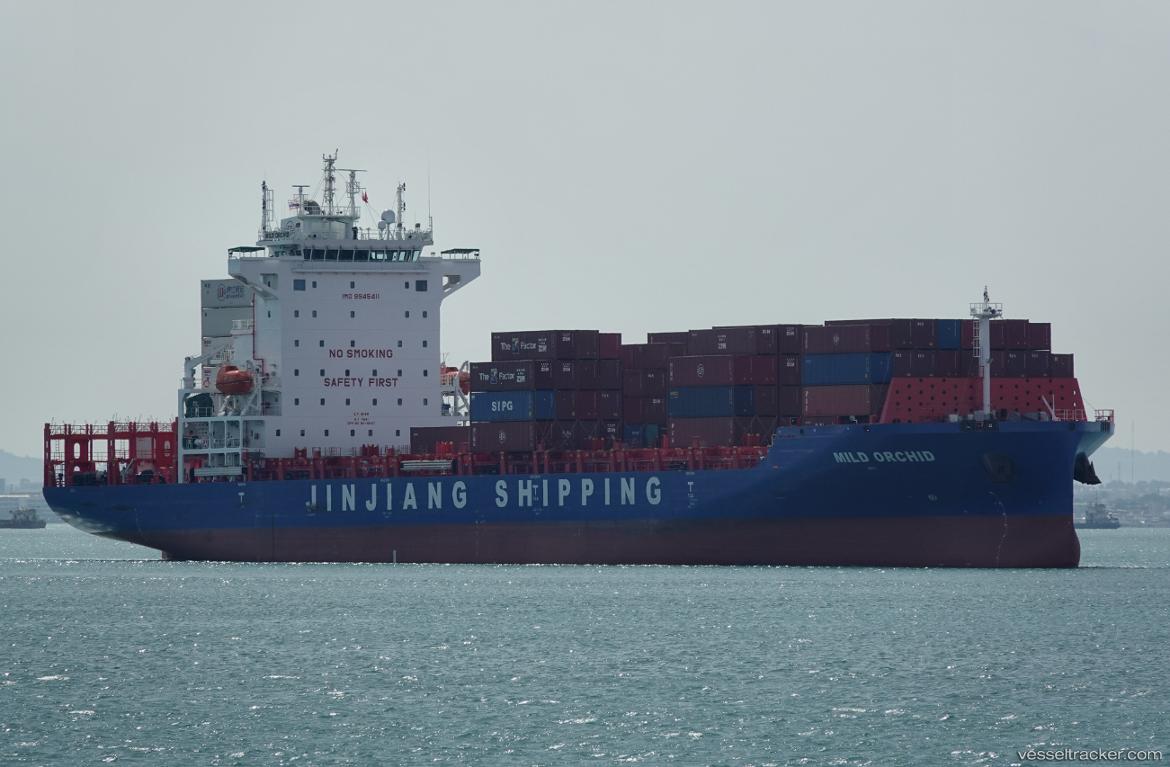 Mild-Orchid - Container Ship vessel