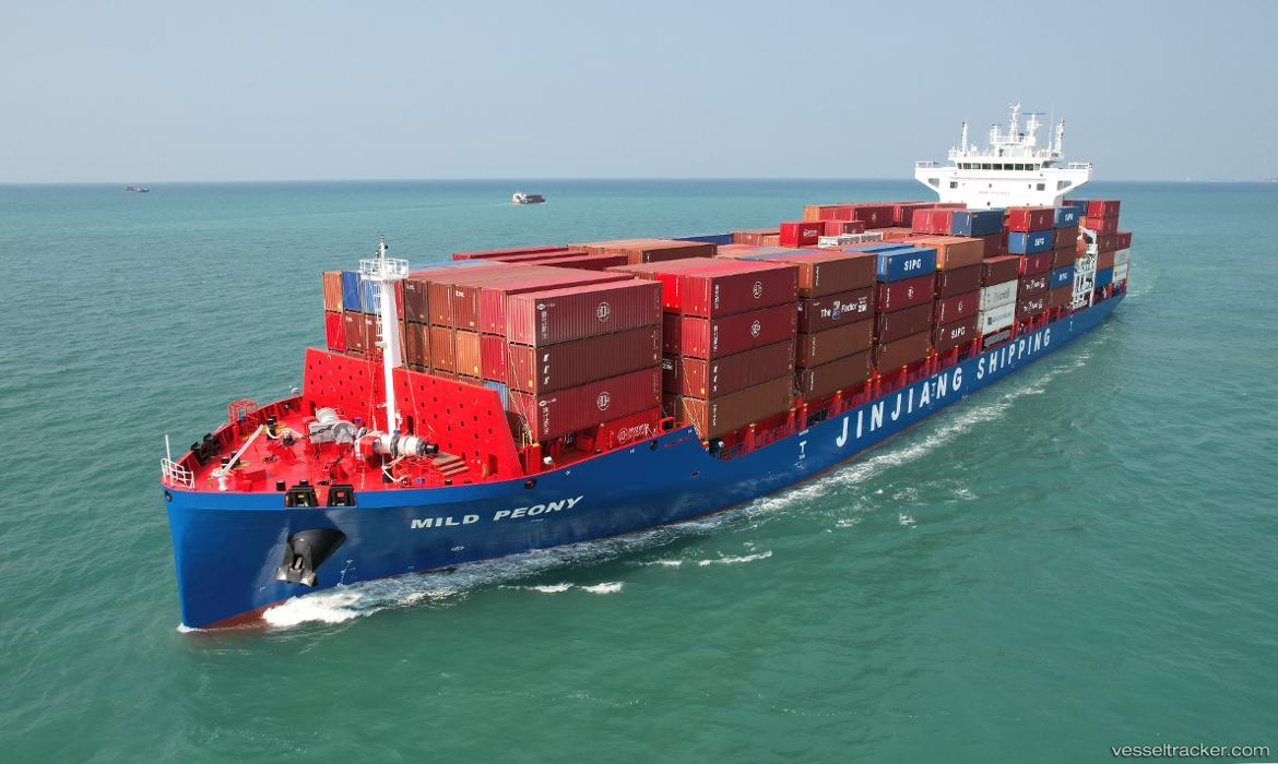 Mild-Peony - Container Ship vessel