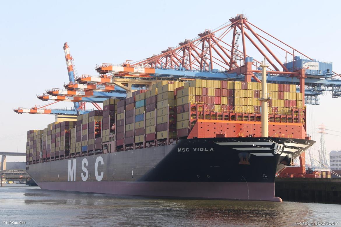 Msc-Viola - Container Ship vessel