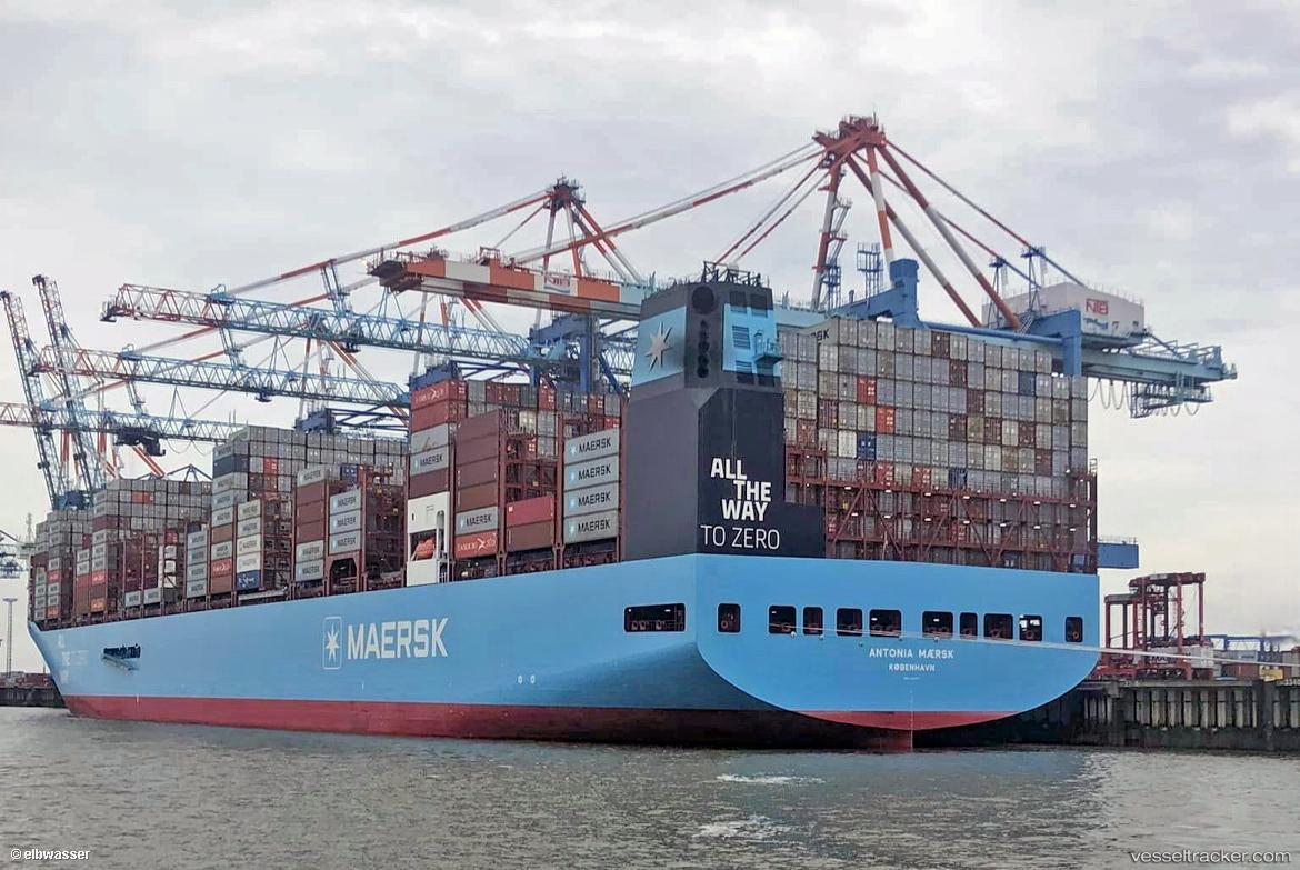 Antonia-Maersk - Container Ship vessel