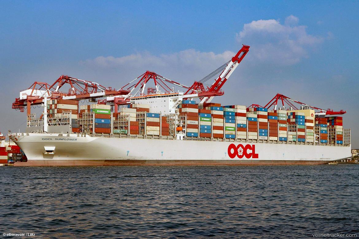 Oocl-Sunflower - Container Ship vessel