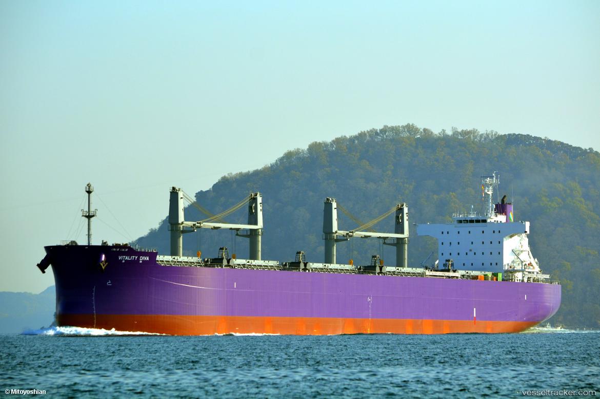 Vitality-Diva - Bulk Carrier vessel
