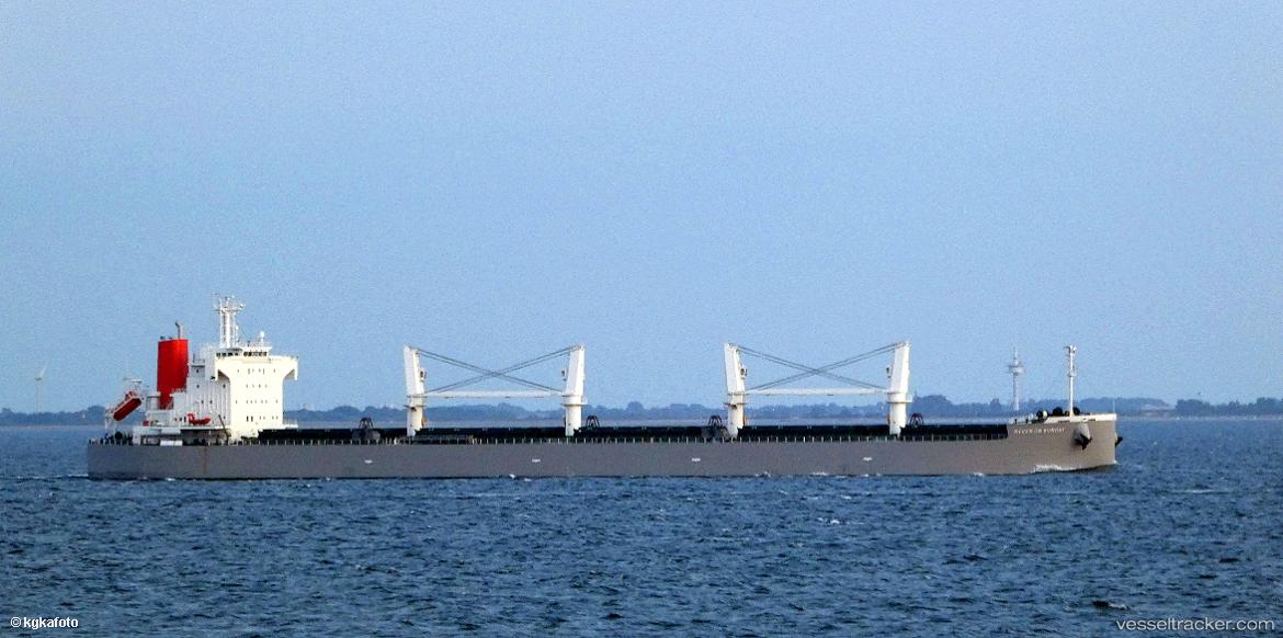 Never-On-Sunday - Bulk Carrier vessel