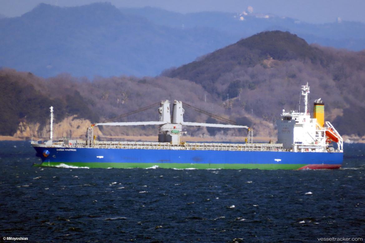 Green-Raccoon - General Cargo Ship vessel