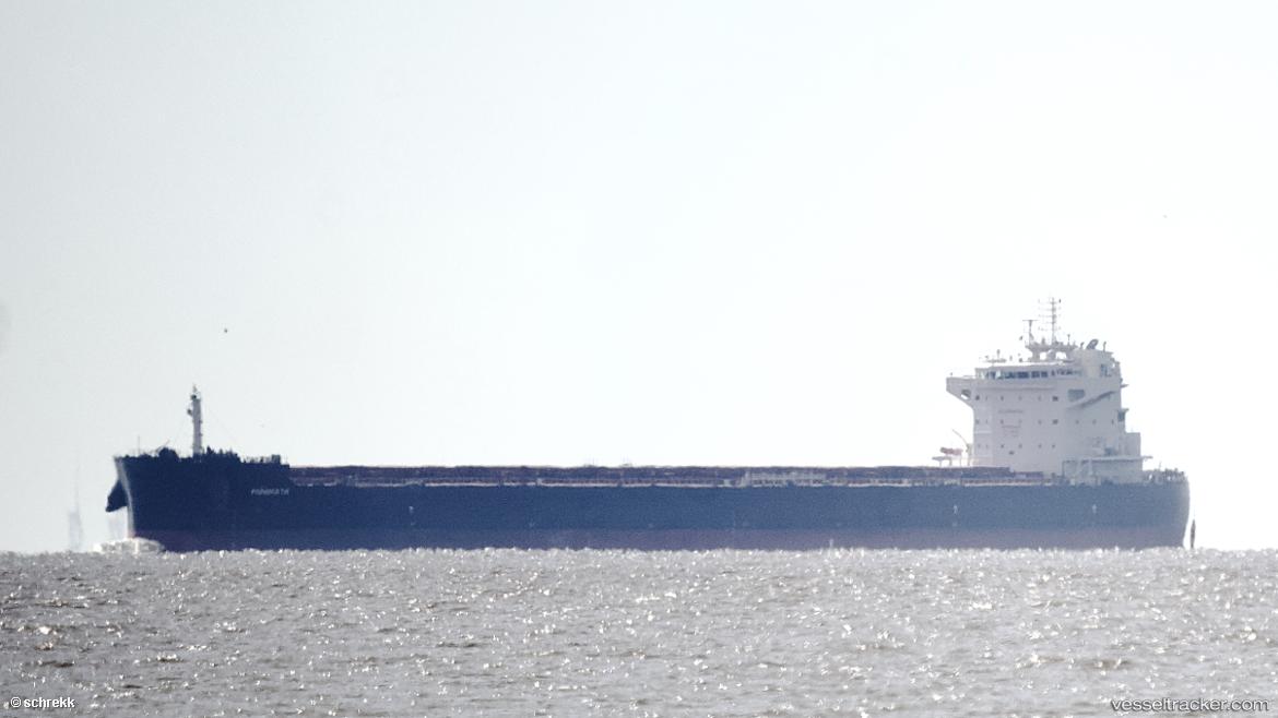 Minimata - Bulk Carrier vessel