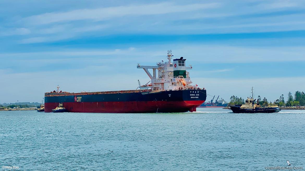 China-Ace - Bulk Carrier vessel