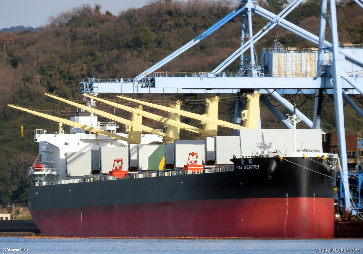 Tai-Sentry - Bulk Carrier vessel