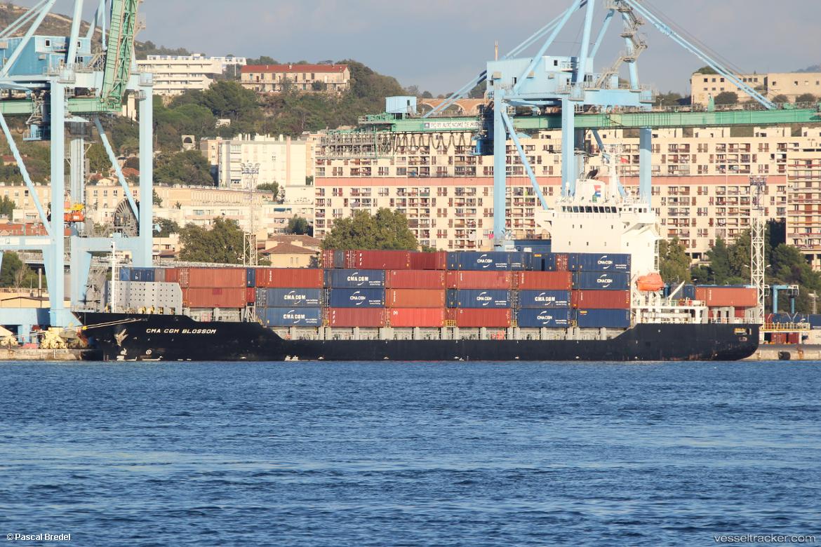 Cma-Cgm-Blossom - Container Ship vessel