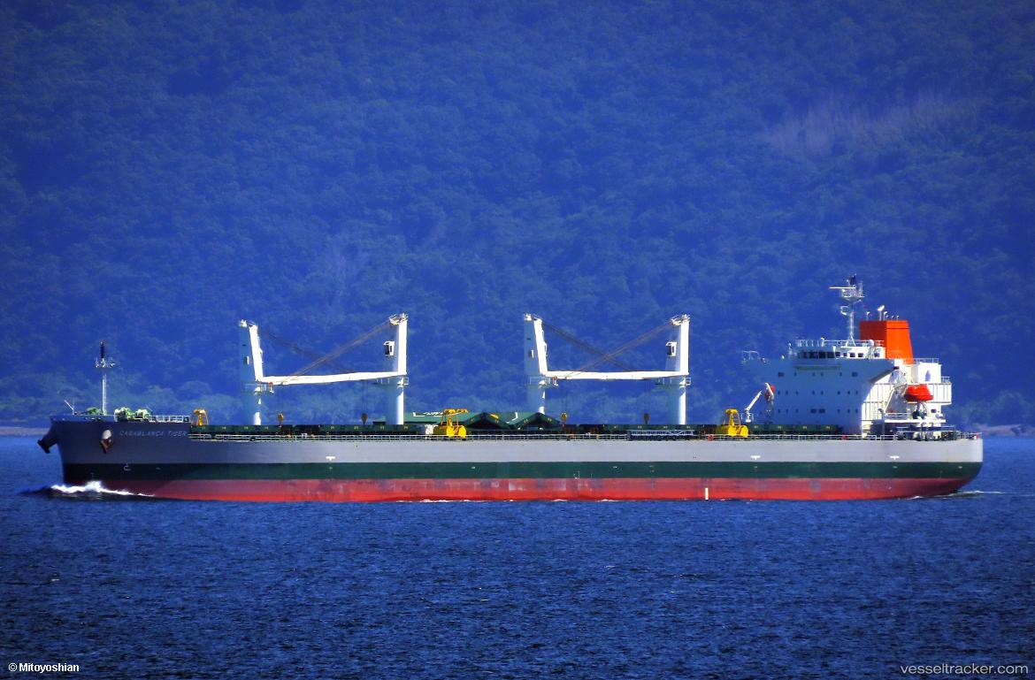 Casablanca-Tiger - Bulk Carrier vessel
