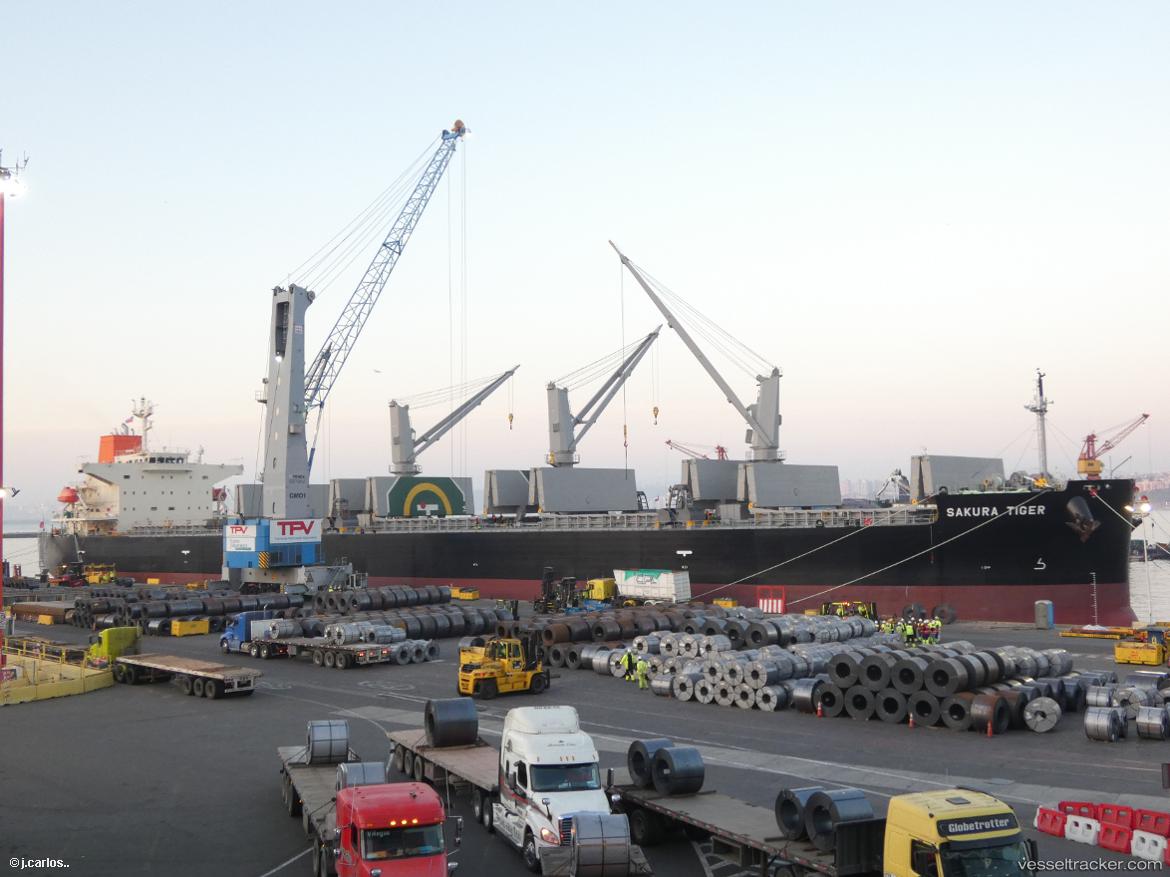 Sakura-Tiger - Bulk Carrier vessel