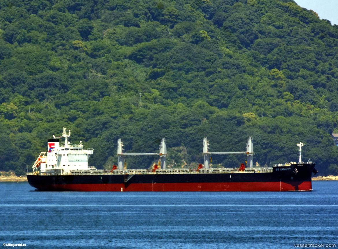 Es-Dignity - Bulk Carrier vessel