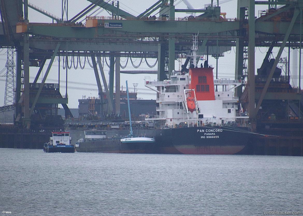 Pan-Concord - Bulk Carrier vessel