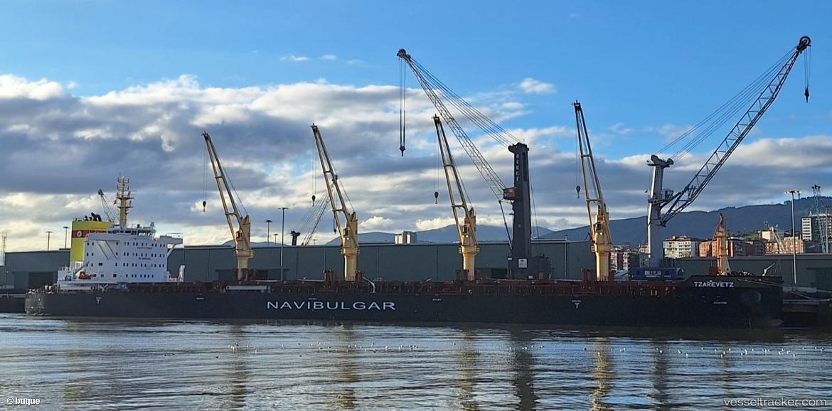 Tzarevetz - Bulk Carrier vessel