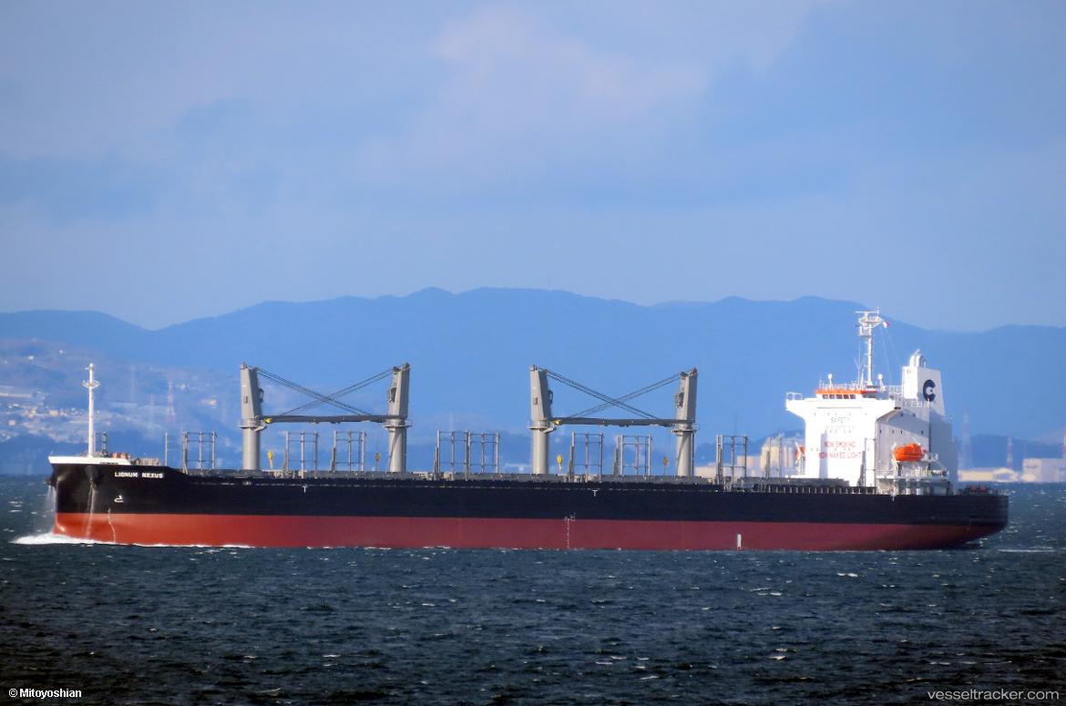 Lignum-Nexus - Bulk Carrier vessel