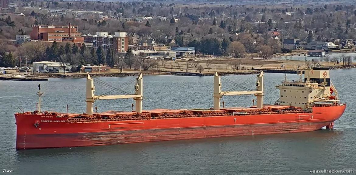 Federal-Hamilton - Bulk Carrier vessel