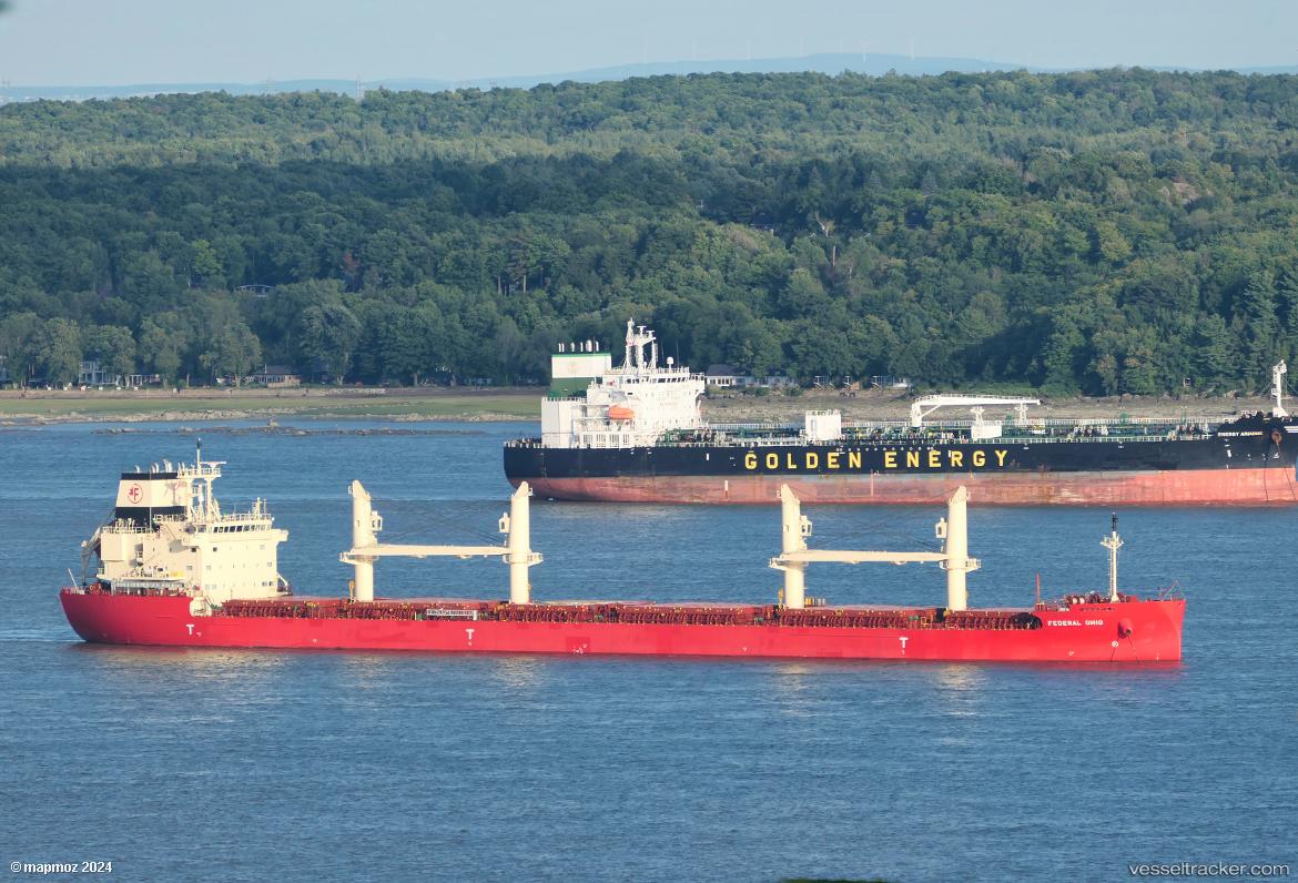 Federal-Ohio - Bulk Carrier vessel