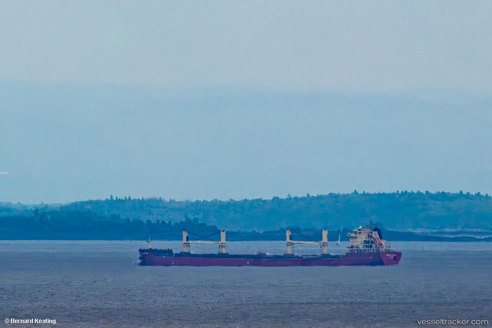 Federal-Lexi-Rose - Bulk Carrier vessel