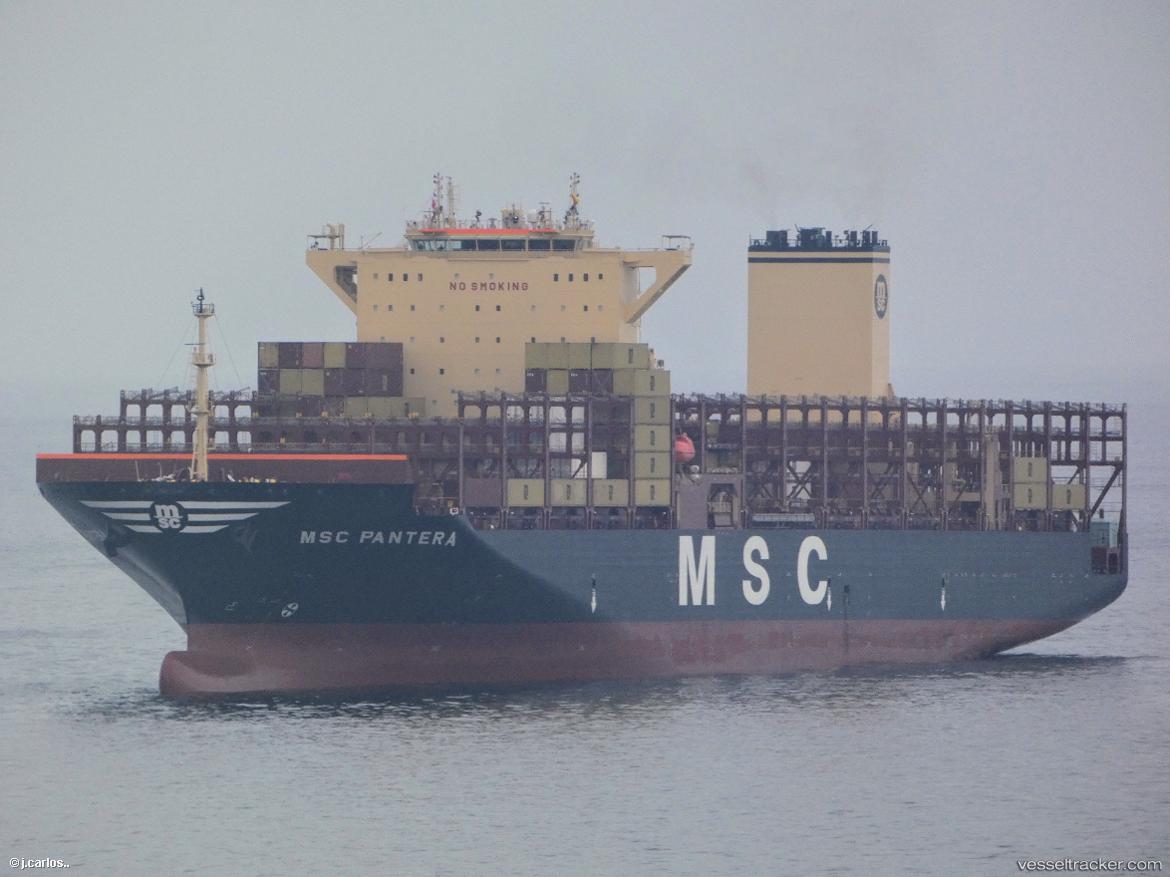 Msc-Pantera