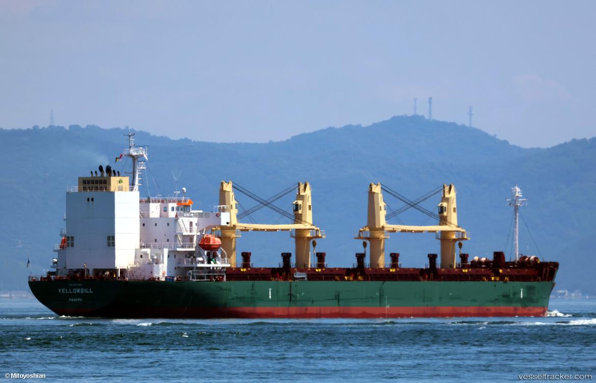 Yellowbill - Bulk Carrier vessel