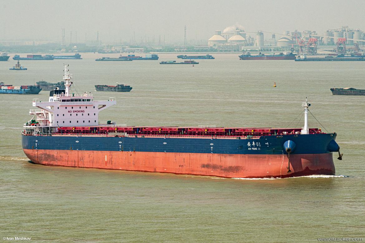 An-Feng-01 - Bulk Carrier vessel