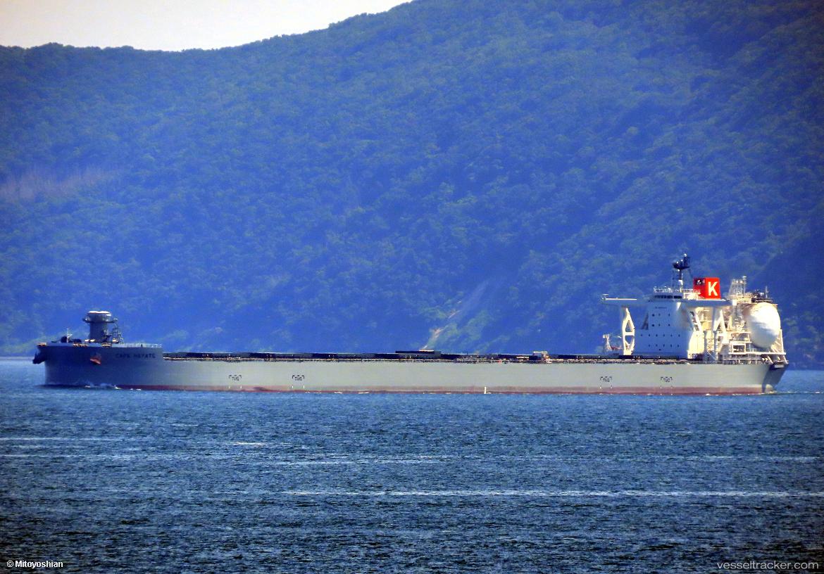 Cape-Hayate - Bulk Carrier vessel