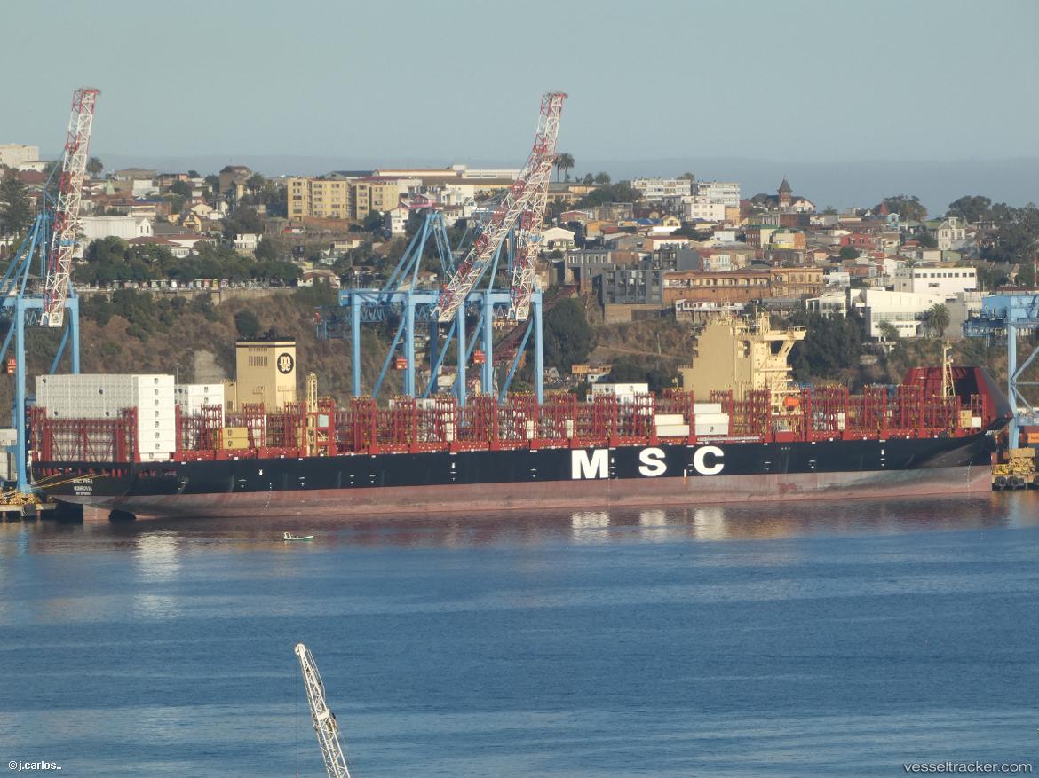 Msc-Pisa - Container Ship vessel