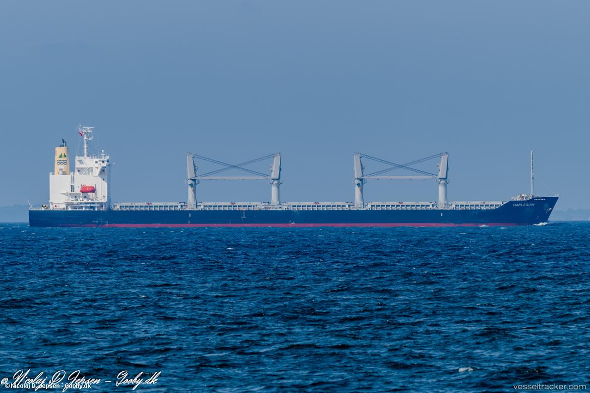 Harlequin - Bulk Carrier vessel